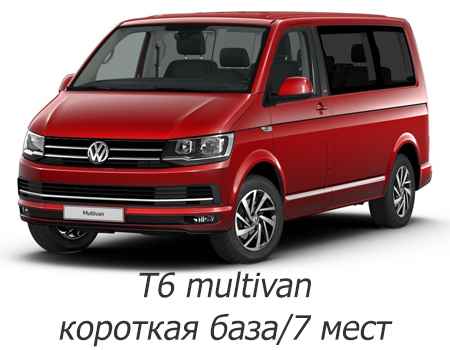 EVA автоковрики для Volkswagen T6 Multivan (7 мест) короткая база (для авто с ворсовым напольным покрытием) — t6 multi 7m